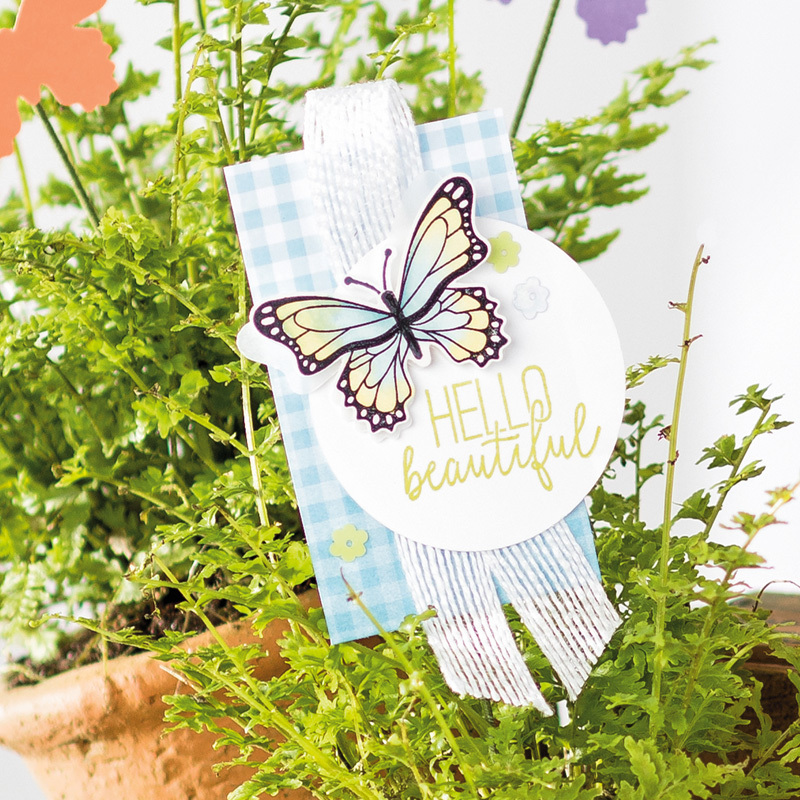 Stampin Up Reihe Gartenglück 🦋 Schmetterlinge als Stempel, Stanze